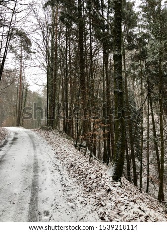Snow covered dirt road in a forest