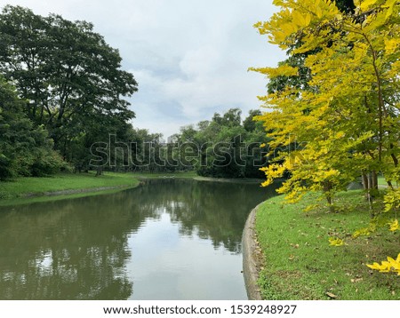 Beautiful park in the city with the scenery of clear and clean pond surrounded by green and yellow bush trees.