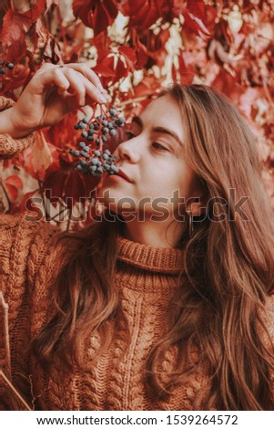 Stylish girl in knitted sweater. Fashion. Woman with dark hair. Autumn shooting