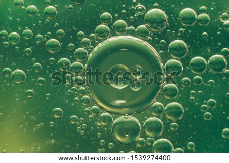 Beautiful  abstract color green and yellow abstraction background close up. Macro view.