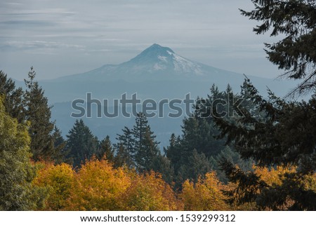 Fall foliage and Mt Hood on an autumn morning in Portland Oregon