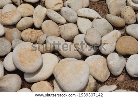 many coral stones on the garden floor