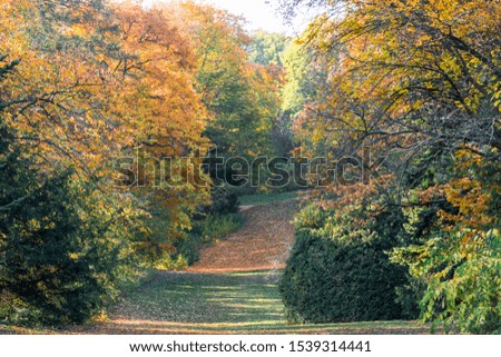 Thousand color autumn photos from Pannonhalma Arboretum