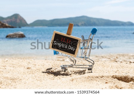Single's day sale concept of China, 11.11. The shopping cart and the text 11.11 single's day sale on the beach.
