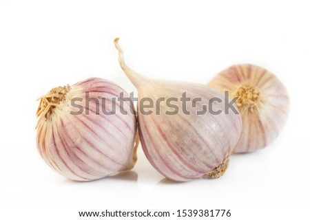 elephant garlic on white background