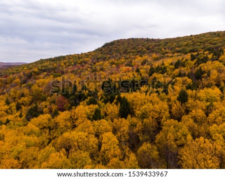 Drone photo of peak foliage upstate New York during the autumn fall season
