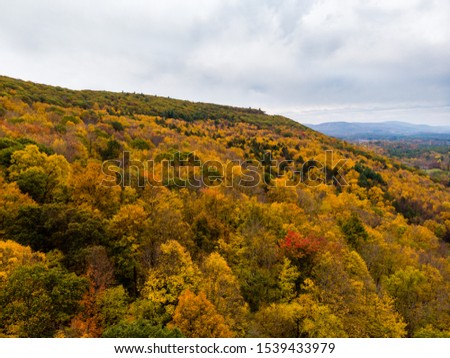 Drone photo of peak foliage upstate New York during the autumn fall season

