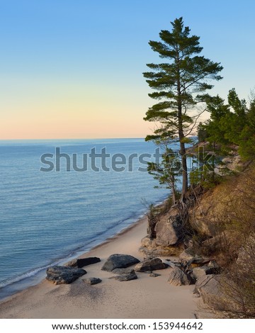 Tall Pine tree sunset on Lake Superior Pictured Rocks National Lakeshore