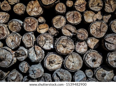 Timber of wood texture Background