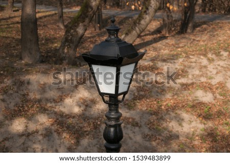 Metal lantern with white glass amid fallen leaves and trees