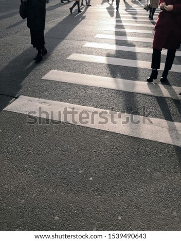 shadows and legs of citizens crossing asphalt street road at pedestrian zebra crosswalk