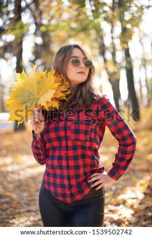 A young woman photographs the autumn leaves on the phone's camera. Bright yellow leaves.