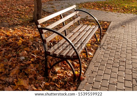Park bench on the background of fallen autumn leaves and a stone walkway