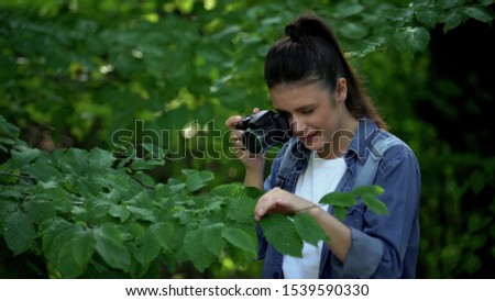 Female photographer taking photo of green tree leaves in park, naturalist hobby
