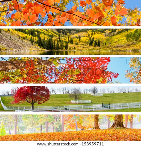 Autumn Collage with 5 different pictures banners.