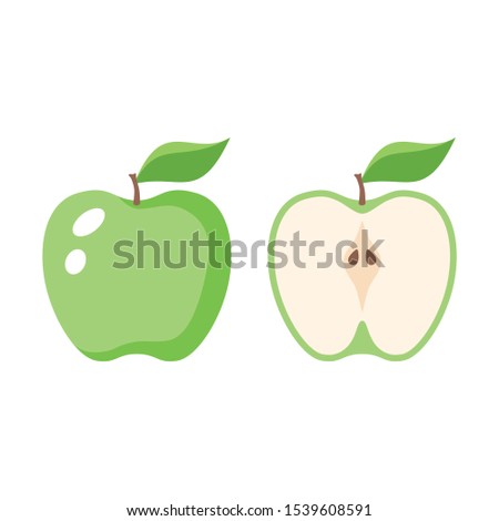 Green apple and a half apple colorful vector illustration. Green apple and sliced one cartoon. 