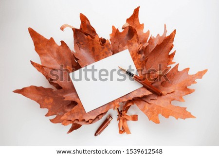 autumn composition of dry leaves. original message concept. envelope and pen