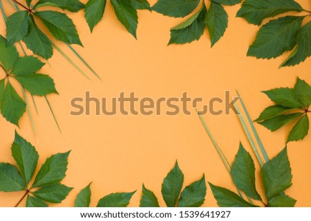 grape leaves and tropical frame for text