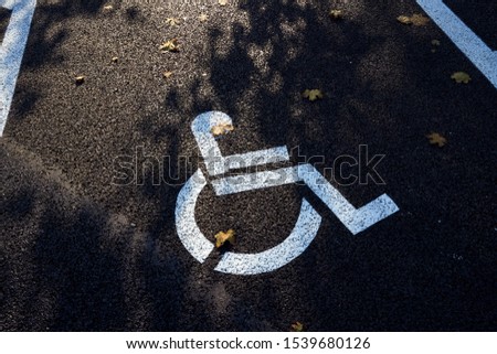                Handicap symbol painted on the asphalt