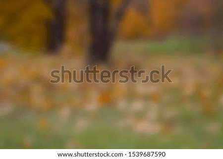 Abstract blurred yellow leaves nature slide background wallpaper
