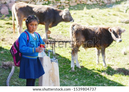 Tranquil native american schoolgirl wearing uniform. Cow in the background.