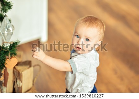 Boy and Christmas tree. A small blond boy reaches for a Christmas toy and looks at the camera