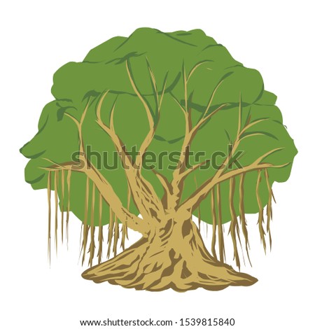Vector image of a banyan tree bonsai images Royalty-Free Stock Photo #1539815840