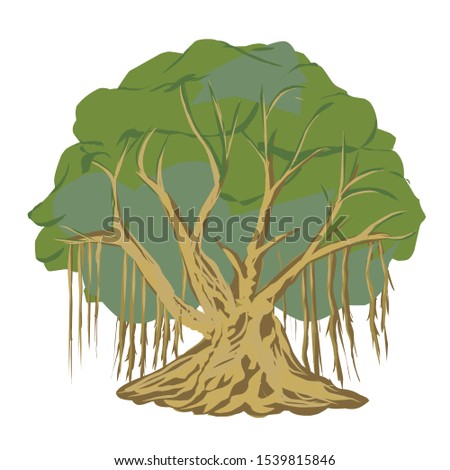 Vector image of a banyan tree bonsai images Royalty-Free Stock Photo #1539815846