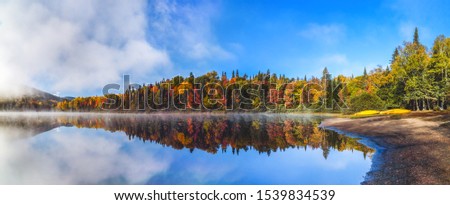 Panorama of a gorgeous forest in autumn, a scenic landscape with pleasant warm sunshine. Autumn forest reflected in water. Colorful autumn morning in the mountains. Autumn in Canada. 