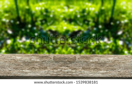 Wooden floor with abstract blurred background in green nature color