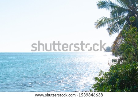 Picturesque lagoon off the shores of Tahiti, French Polynesia featuring rolling mountains, turquoise lagoon & ocean ways with palm trees and tropical terrain 