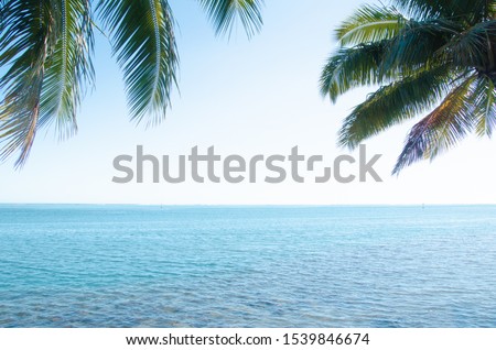 Picturesque lagoon off the shores of Tahiti, French Polynesia featuring rolling mountains, turquoise lagoon & ocean ways with palm trees and tropical terrain 