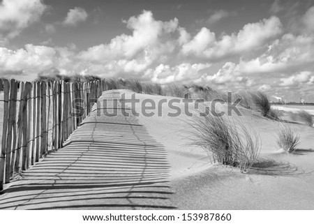 fence and dunes in black and white