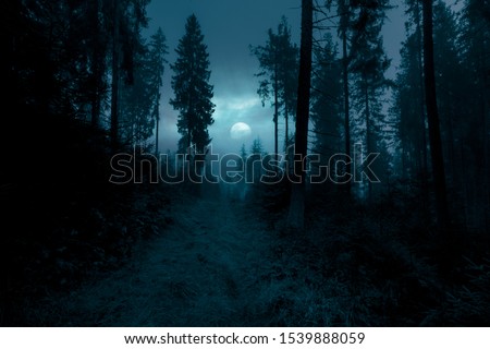 Dark, foggy, mysterious forest. Full moon on the sky. Halloween backdrop. Royalty-Free Stock Photo #1539888059