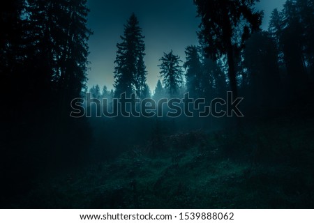 Blue moonlight through the spruce trees in dark magic mystery night foggy forest. Halloween backdrop.