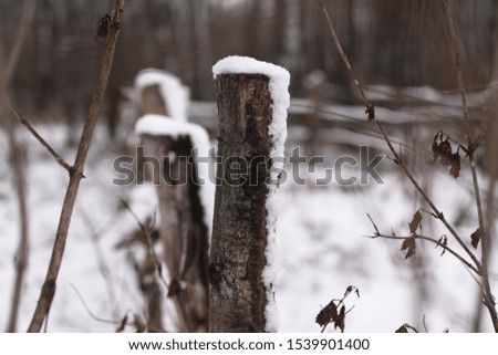 Winter landscape outside the city in the forest. Snowy fence in December. Christmas and New Year picture.