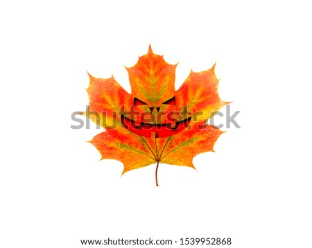 maple leaf with halloween face isolated on white background