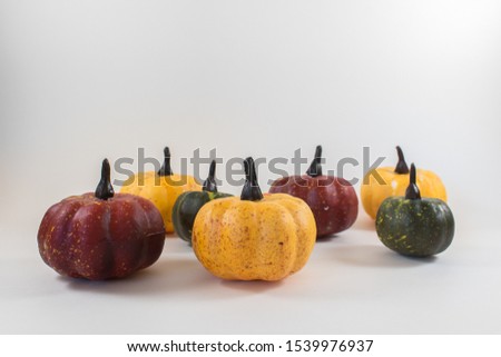 A set of seasonal pumpkins for holidays on a white background.