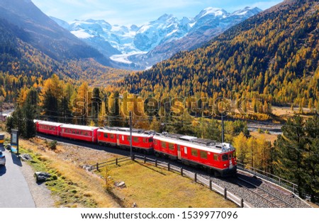 A local train travels thru fall colors at Montebello Curve on a brisk autumn day with Morteratsch glacier lying below Piz Bernina & snow-capped alpine mountains in background in Pontresina Switzerland Royalty-Free Stock Photo #1539977096