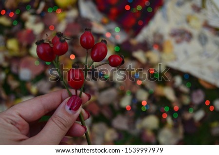 Autumn celebraiting in the garden with flowers, pumpkins, candles and lights
