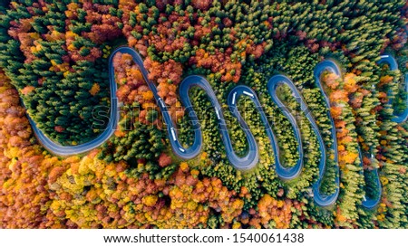 Curved asphalt road through the colourful forest, aerial view road going through forest with autumn foliage