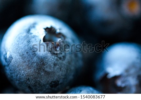 Background with fresh blueberries closeup. Blueberry macro photography. Organic berries of bright blue color. Template for banner, menu, food label, organic shop. Healthy eating. Blurred background