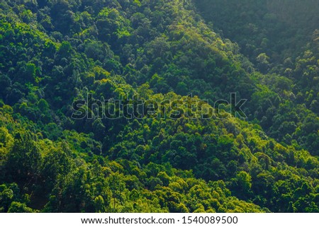 Horizon view of beautiful forest towards mountain ranges covered by evergreen cold rain-forests. Mountains landscape under blue sky with clouds. Healthy environment concepts and background.
