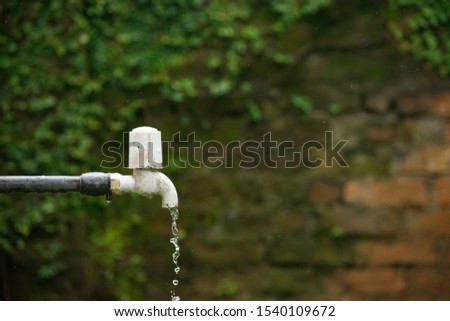 Water Overflowing from a Tap in the Backyard of a house with green leaves and orange stones in the background