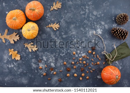 Autumn frame of pumpkins, hazelnuts and cones on a textural background. Autumn, fall, thanksgiving concept. Flat lay, top view, copy space.