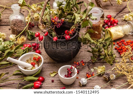 Halloween concept background. Witch bowler, mistletoe, elderberry. Dry herbs, flowers, fresh berries. Mortar and pestle, seeds, old wooden boards.