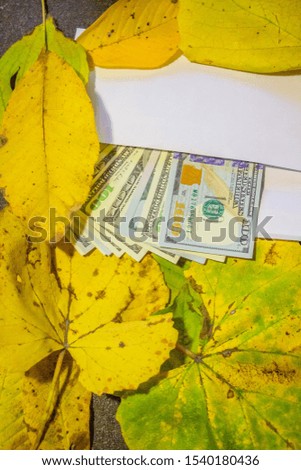 Hundred dollar bills in an envelope lost in yellow leaves. Close-up. Background like texture.

