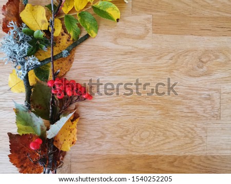 Autumn composition on a wooden background