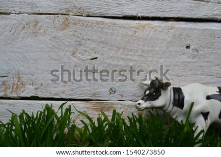 Green grass on a wooden background with a cow. Farm products. Background picture. Flat lay minimalistic composition with space for text.