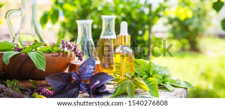 Oil for skin care, massage from natural ingredients, herbs, mint in glass jars and test tubes on a green background in the garden on the nature, natural cosmetics Royalty-Free Stock Photo #1540276808